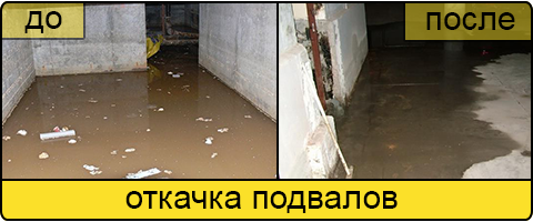 Услуга ассенизаторов в Бийске